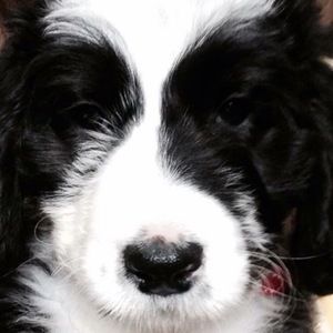 Meet your Posher, Keegan